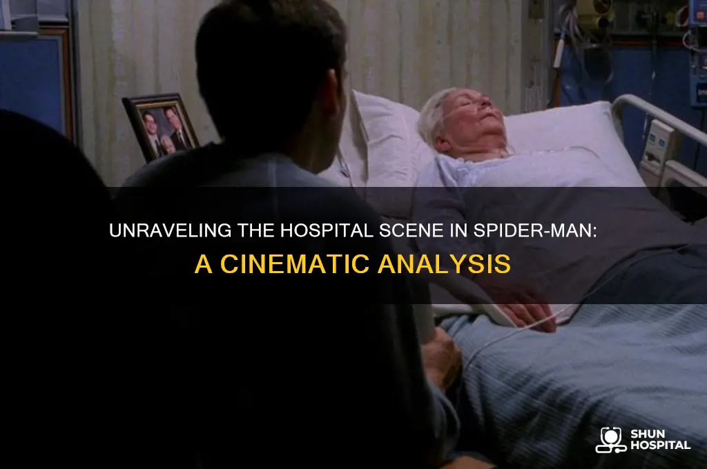 what kind of hospital was in spdier man film