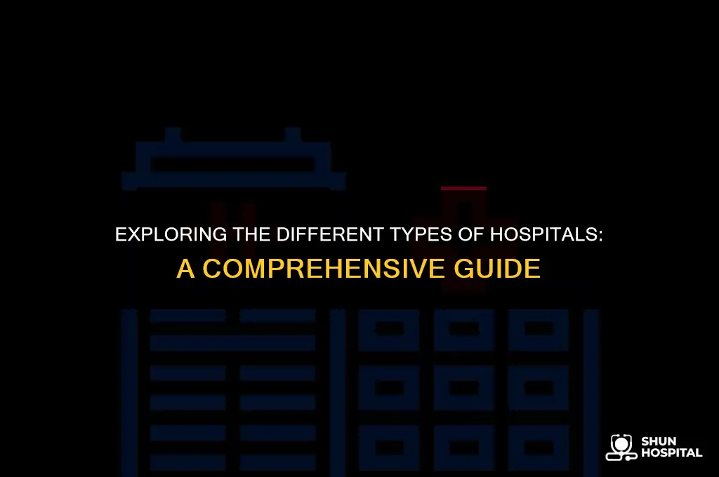what kind of hospital