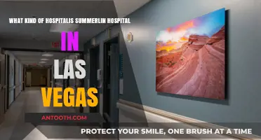Exploring Summerlin Hospital: Las Vegas' Premier Healthcare Facility