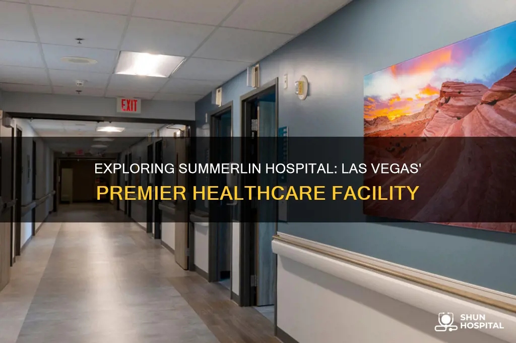 what kind of hospitalis summerlin hospital in las vegas