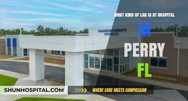Exploring Perry, FL Hospital's Advanced Laboratory Facilities and Services