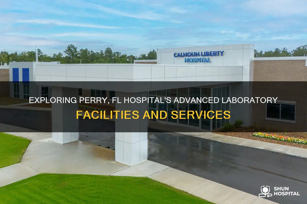 what kind of lab is at hospital in perry fl