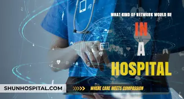 Essential Hospital Networks: Infrastructure for Patient Care and Operations