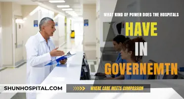Hospital Power Dynamics: Influence and Authority in Government Decision-Making