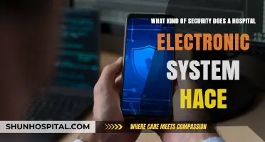 Securing Patient Data: Exploring Hospital Electronic System Security Measures