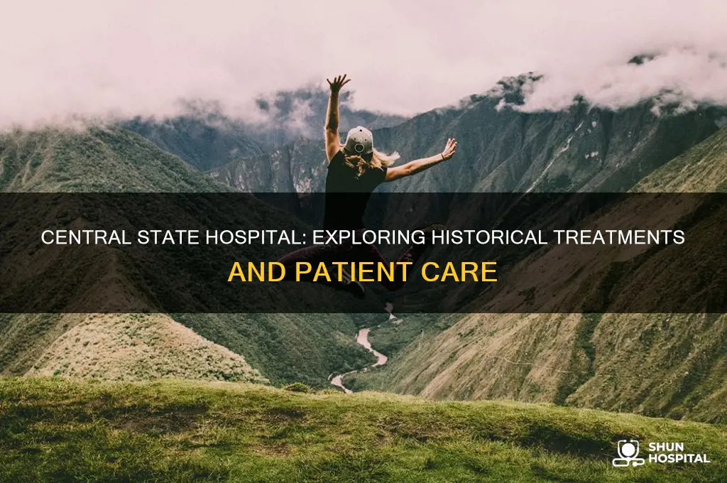 what kind of treatments were offered at central state hospital