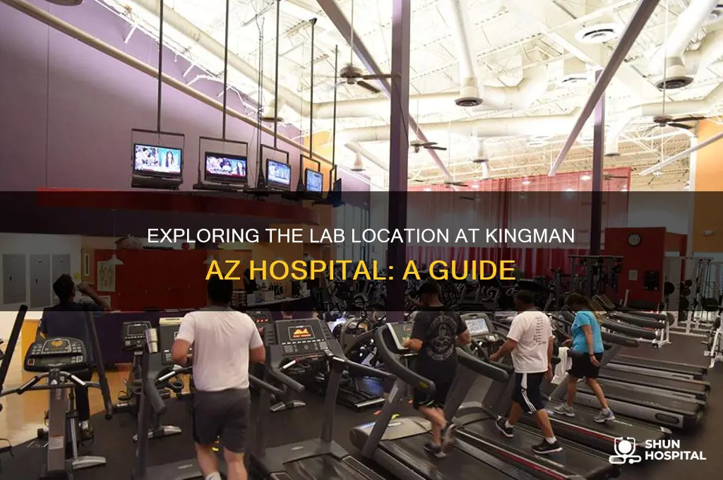 what lab place is in the hospital kingman az