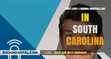 South Carolina's Top Level 1 Trauma Centers: Locations and Services