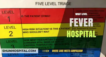 Understanding Fever Levels: When to Seek Hospital Care