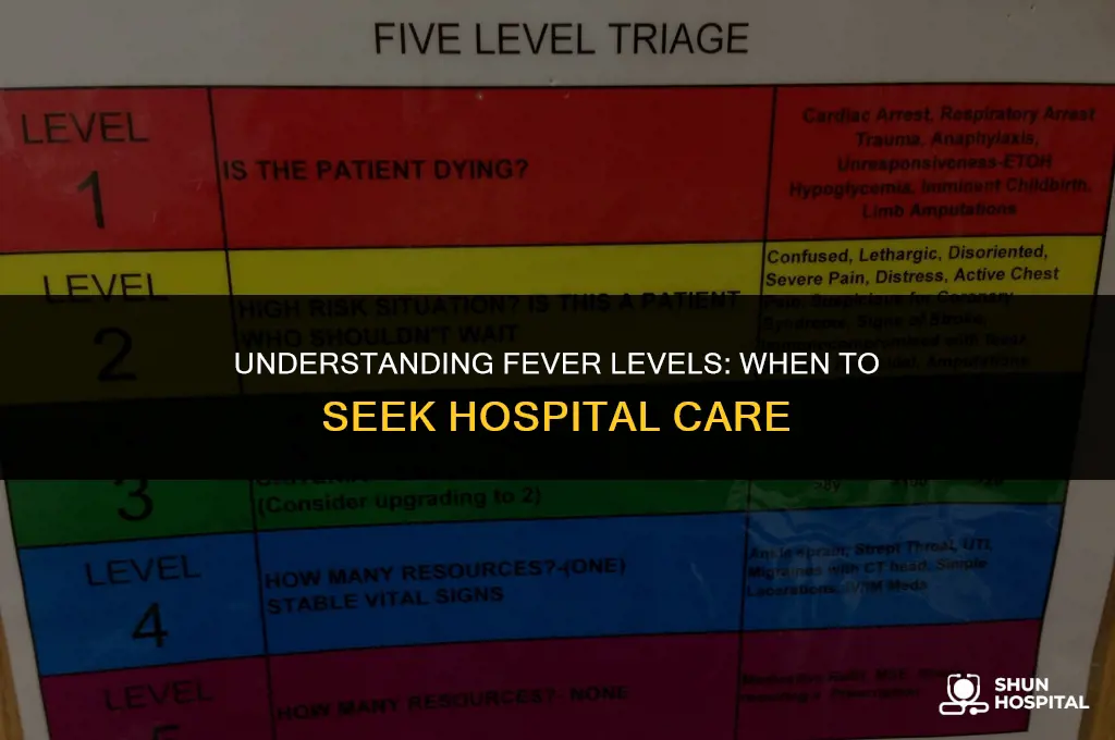 what level fever hospital