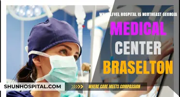 Northeast Georgia Medical Center Braselton: Understanding Its Hospital Level