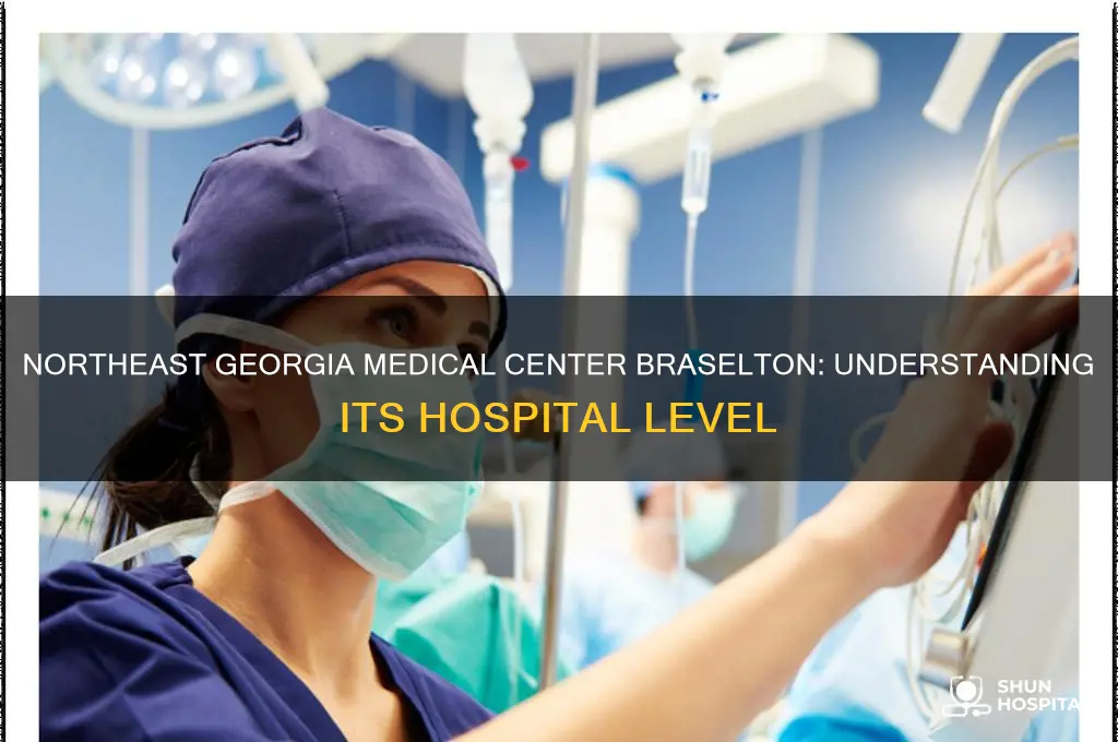 what level hospital is northeast georgia medical center braselton