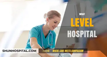 Understanding Hospital Levels: A Comprehensive Guide to Healthcare Tiers