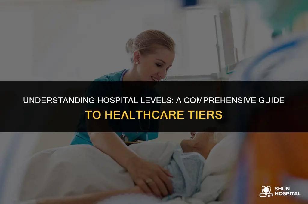 what level hospital