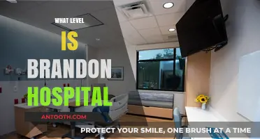 Exploring Brandon Hospital's Level: A Comprehensive Guide