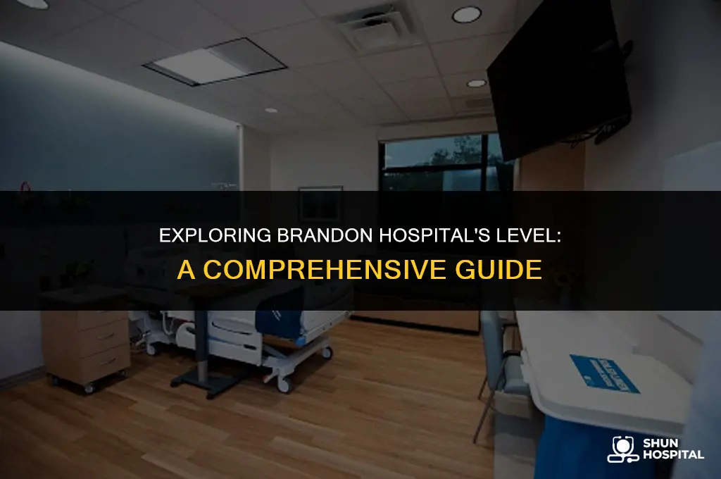 what level is brandon hospital