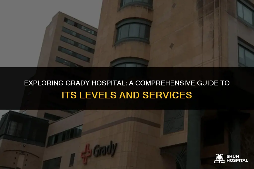 what level is grady hospital