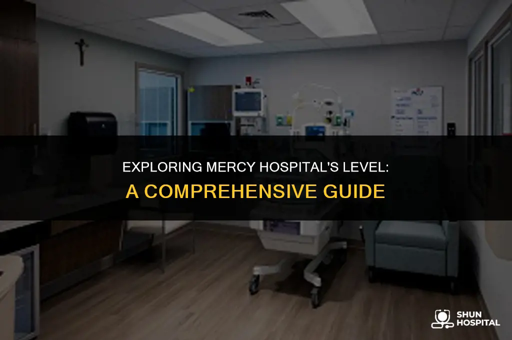 what level is mercy hospital