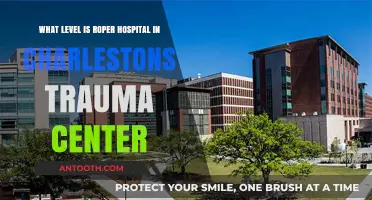 Roper Hospital's Trauma Center Level in Charleston Explained