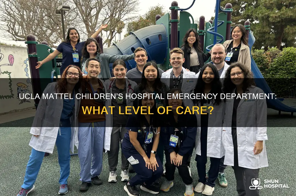 what level is ucla mettel childrens hospital emergency department