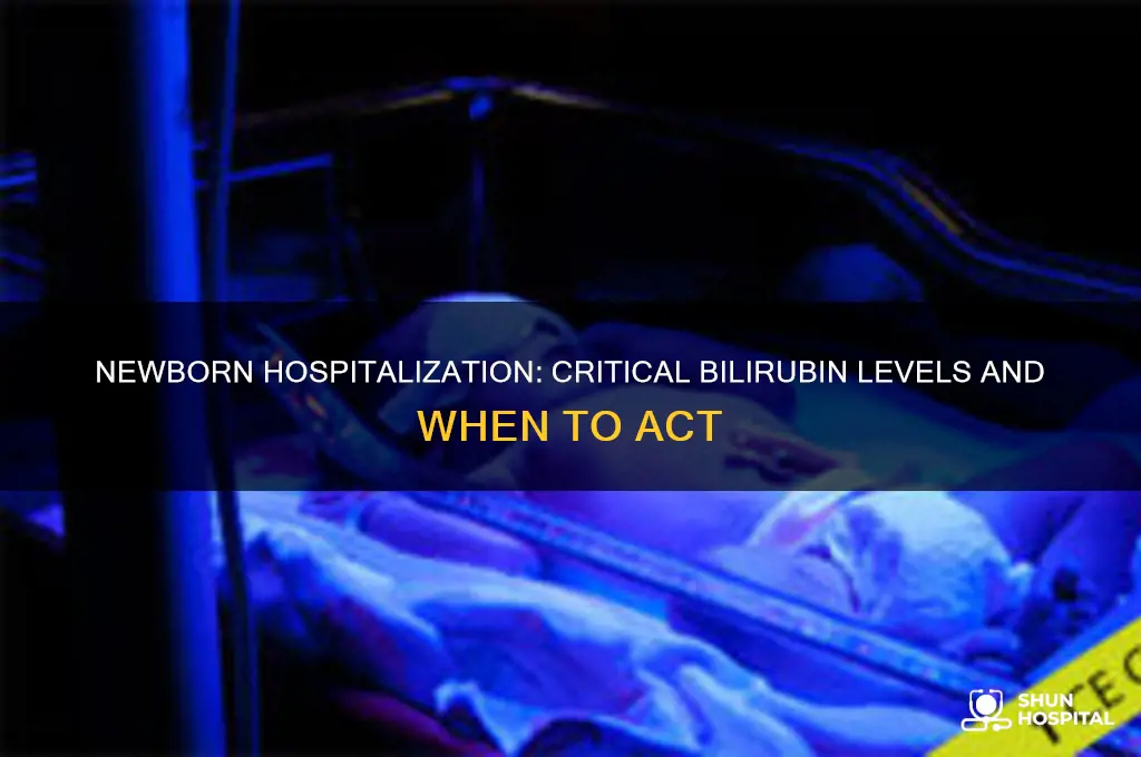 what level of bilirubin requires newborn to be hospitalized