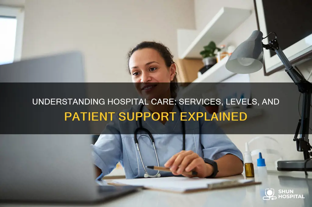 what level of care include hospital care and services