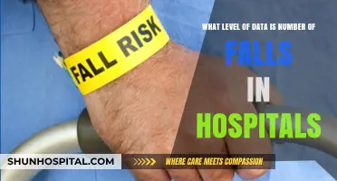 Understanding Hospital Fall Data: Categorizing the Number of Falls