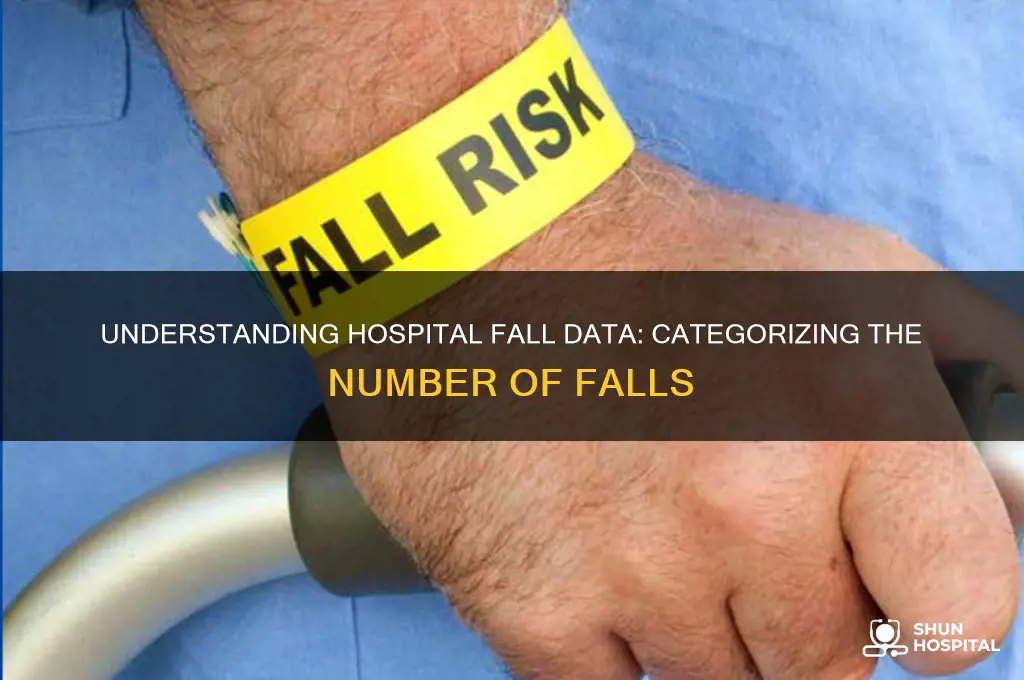 what level of data is number of falls in hospitals
