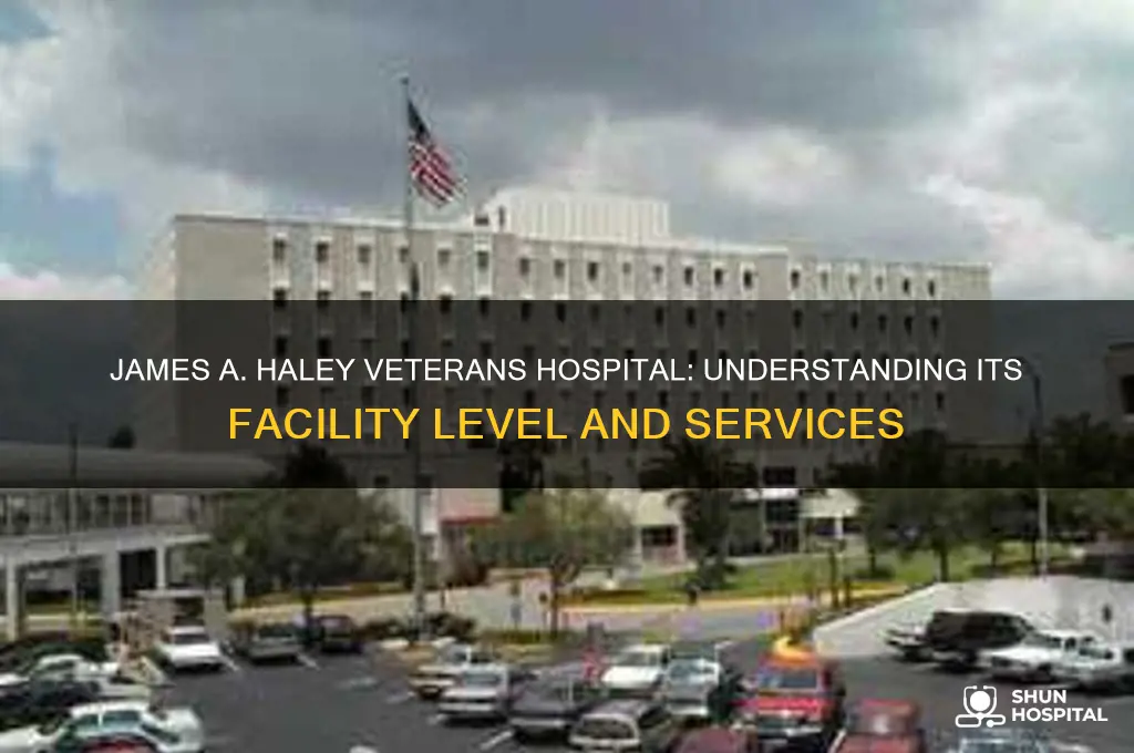 what level of facility is james a haley veterans hospital