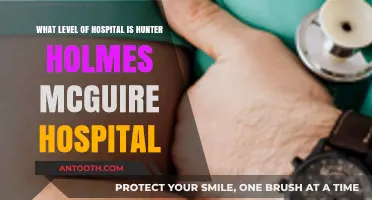 Understanding Hunter Holmes McGuire Hospital's Level and Services