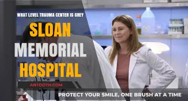 Grey Sloan Memorial Hospital's Trauma Center Level Explained