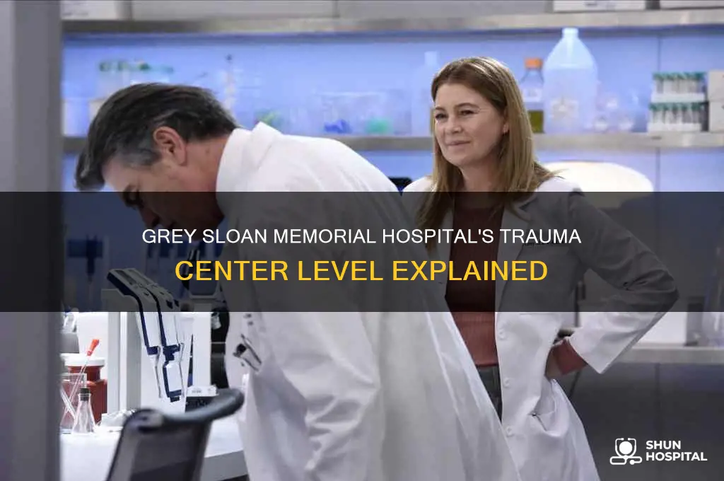 what level trauma center is grey sloan memorial hospital