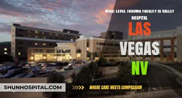 Valley Hospital Las Vegas NV: Trauma Facility Level Explained