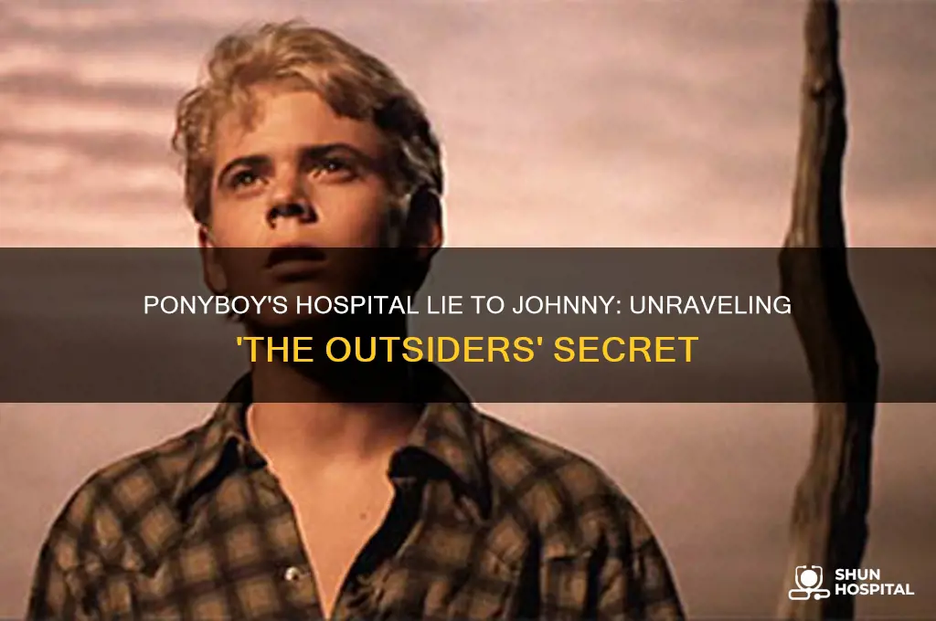 what lie does ponyboy tell johnny in the hospital