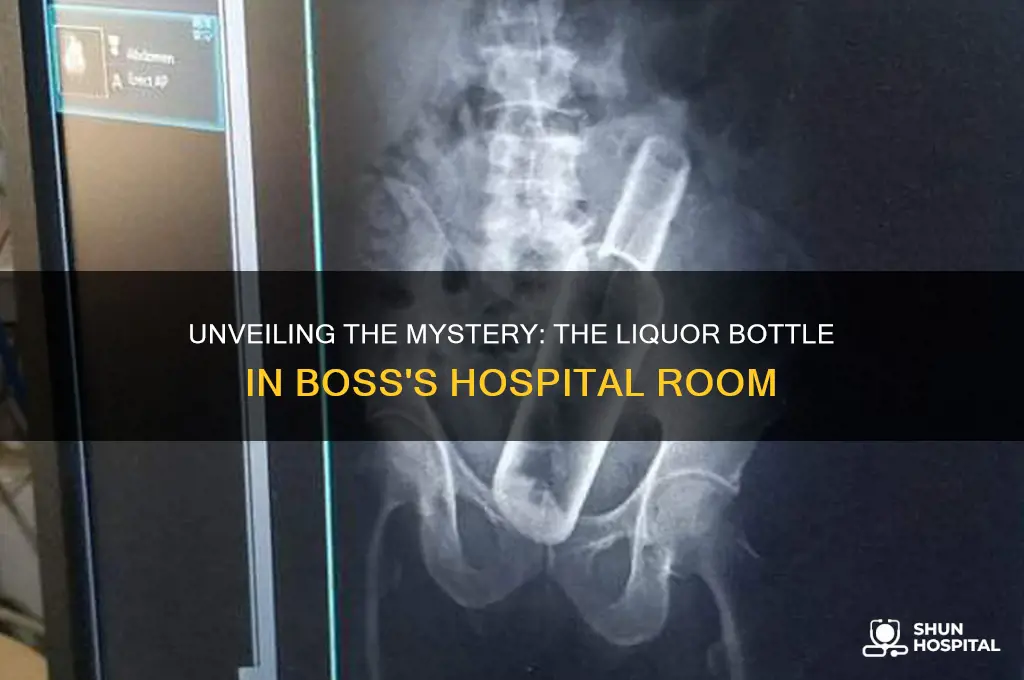 what liquor bottle is in the hospital room in boss
