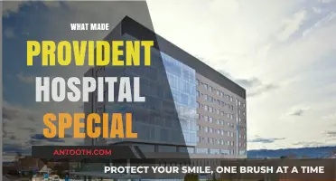Unveiling the Unique Legacy of Provident Hospital: A Community's Lifeline