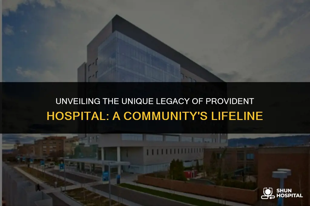 what made provident hospital special