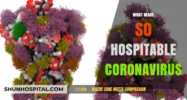 Unraveling the Enigma: What Made the Coronavirus So Hospitable?