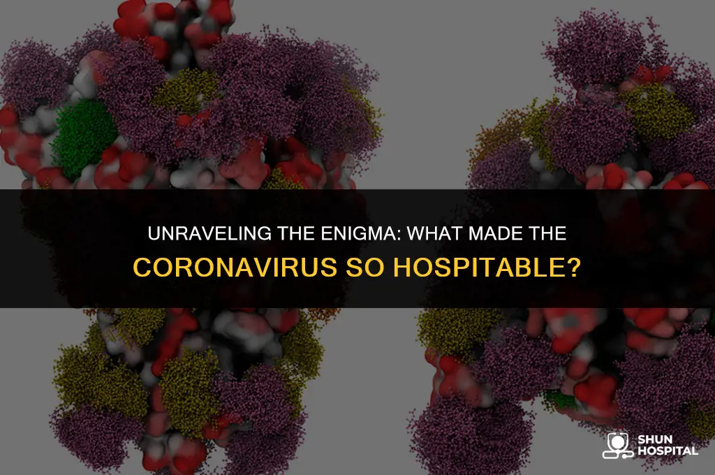 what made so hospitable coronavirus