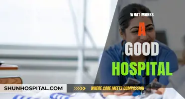 Exploring Excellence: Key Attributes of a Top-Notch Hospital