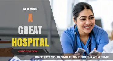 Exploring Excellence: Key Attributes of a Great Hospital