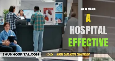 Exploring the Key Elements of an Effective Hospital