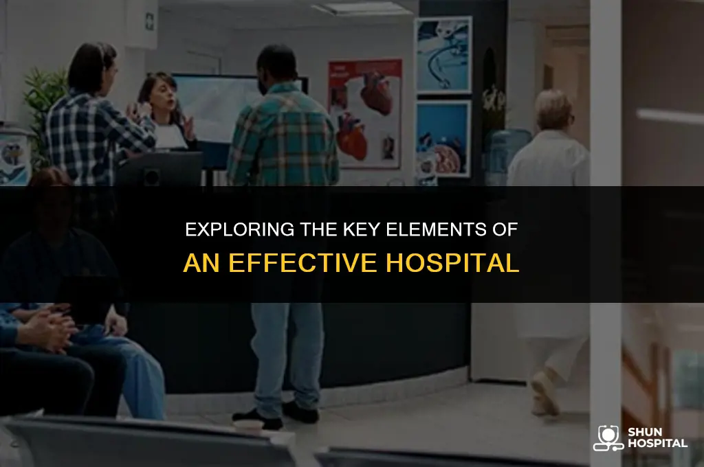 what makes a hospital effective