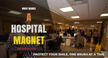 Exploring the Qualities That Make a Hospital Truly Magnetic