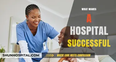 Key Ingredients for a Thriving Hospital: A Comprehensive Guide
