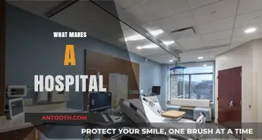 Exploring the Essential Elements That Define a Modern Hospital