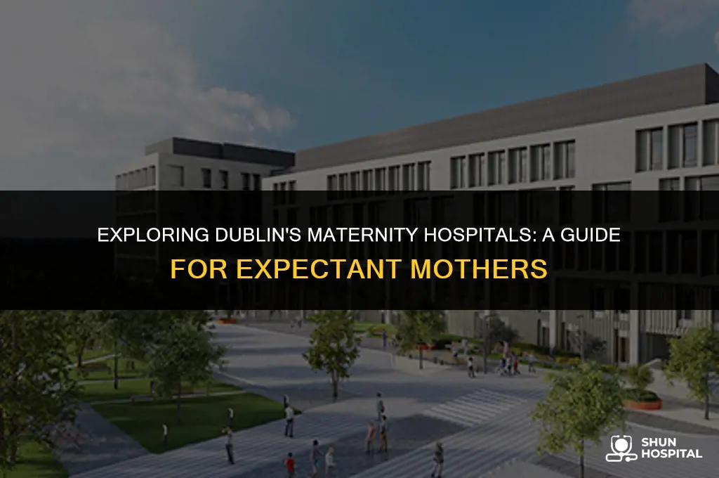 what maternity hospital dublin