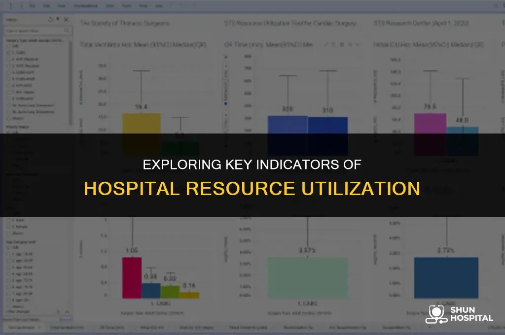 what measures characterize hospital utilization