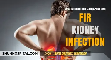 Treating Kidney Infections: Hospital-Prescribed Medications and Effective Therapies