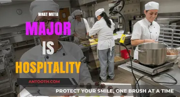 Exploring the Meta Major of Hospitality: A Comprehensive Guide